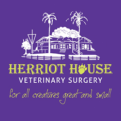 Herriot House Vet Surgery | www.pugpatrolrescueaustralia.com.au